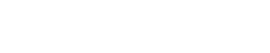 CoinRabbit_logo copy