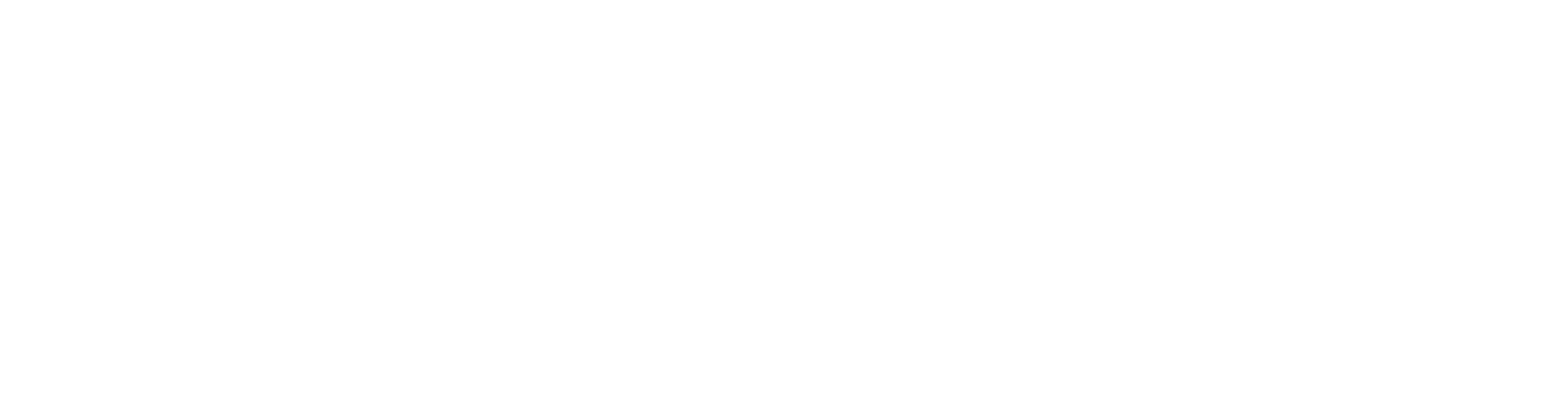 Exchangio_logo_transparent_white